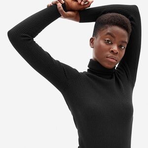 Everlane Italian Merino Rib Black Turtleneck Sweater